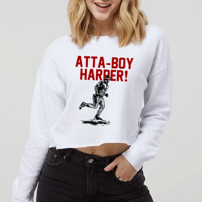 Attaboy Harper Cropped Pullover Crew