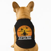 Apache Helicopter AH64 Attack Helicopters Pilot Sunset Doggie Tank