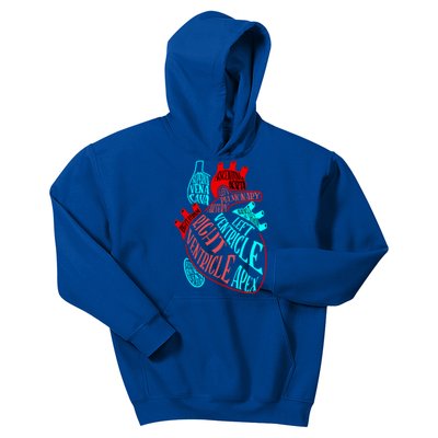 Anatomy Heart Aorta Doctor Nurse Cardiologist Cardiology Gift Kids Hoodie