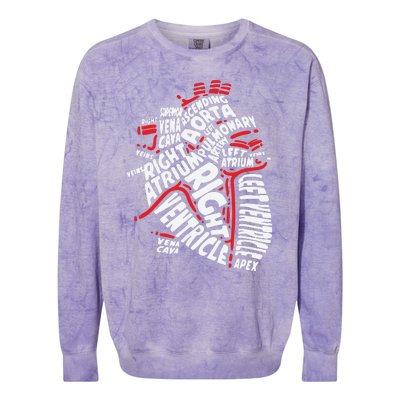 Anatomy Heart Cardiology Student Medical Professional Colorblast Crewneck Sweatshirt