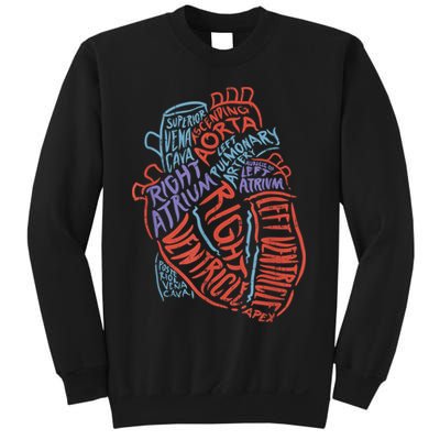 Anatomy Heart Cardiology Student Medical Professional Sweatshirt
