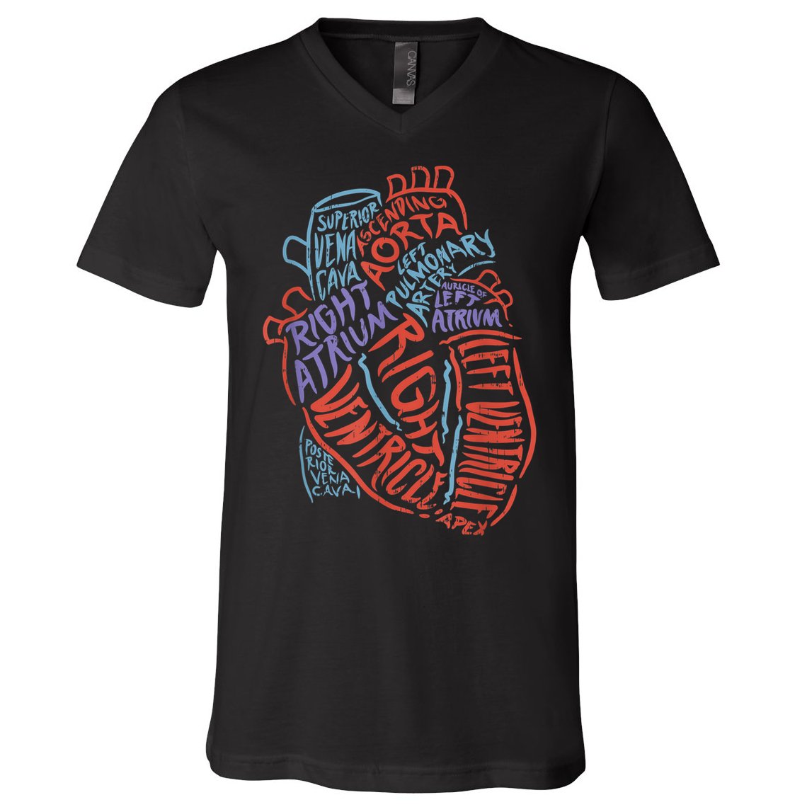 Anatomy Heart Cardiology Student Medical Professional V-Neck T-Shirt