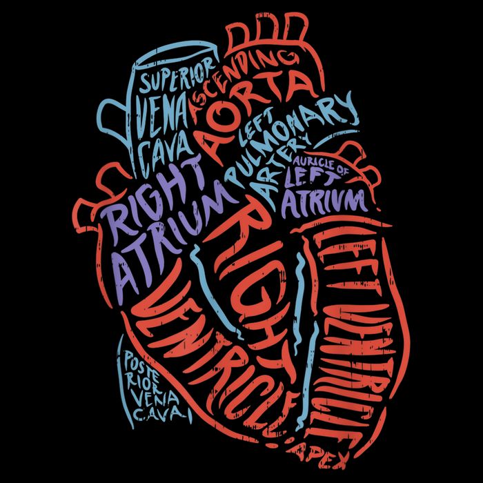 Anatomy Heart Cardiology Student Medical Professional V-Neck T-Shirt