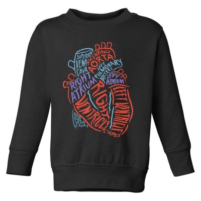 Anatomy Heart Cardiology Student Medical Professional Toddler Sweatshirt