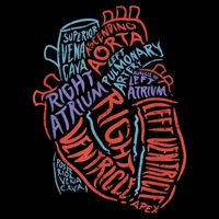 Anatomy Heart Cardiology Student Medical Professional Tank Top