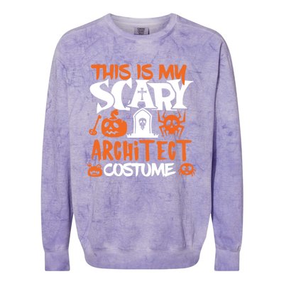 Architect Halloween Costume Funny Tees Colorblast Crewneck Sweatshirt