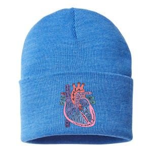 Anatomy Heart Cardiac Anatomy Medical Science School Gift Sustainable Knit Beanie