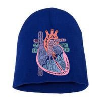 Anatomy Heart Cardiac Anatomy Medical Science School Gift Short Acrylic Beanie