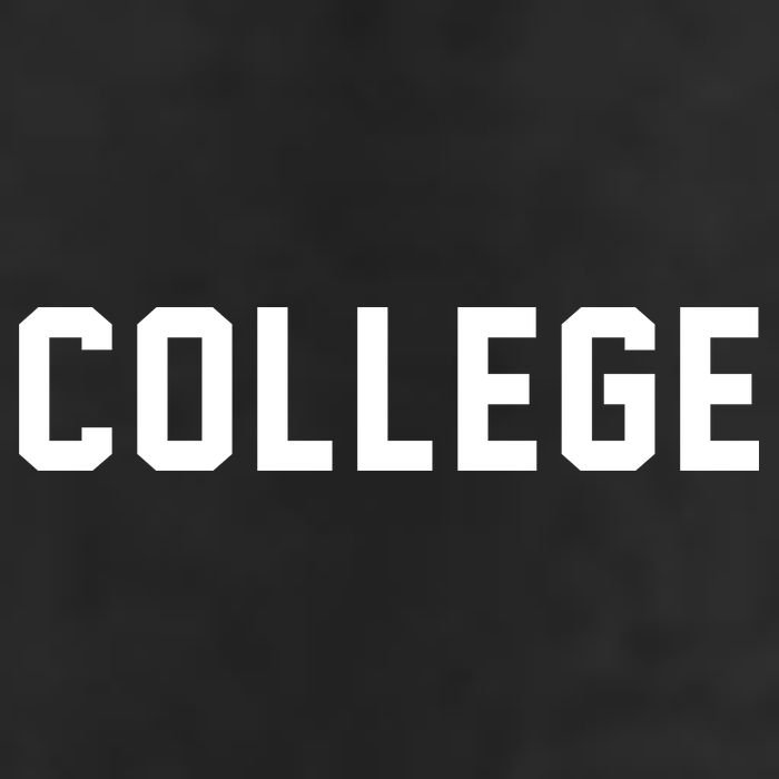 College Logo Adult Drive Performance Visor