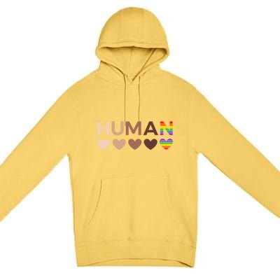 Allinclusive Hearts For Blm Racial Justice And Hu Equality Meaningful Gift Premium Pullover Hoodie