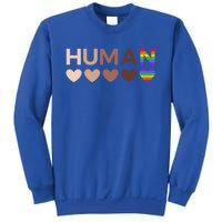 Allinclusive Hearts For Blm Racial Justice And Hu Equality Meaningful Gift Sweatshirt