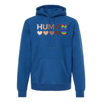 Allinclusive Hearts For Blm Racial Justice And Hu Equality Meaningful Gift Premium Hoodie