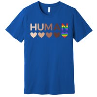 Allinclusive Hearts For Blm Racial Justice And Hu Equality Meaningful Gift Premium T-Shirt