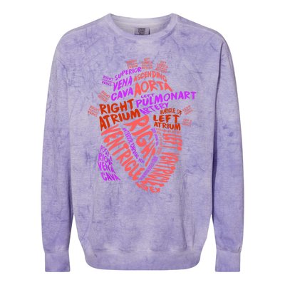 Anatomical Human Heart Cardiology Medical Cardiac Nurse TShirt Colorblast Crewneck Sweatshirt