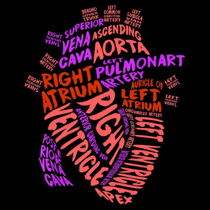 Anatomical Human Heart Cardiology Medical Cardiac Nurse TShirt Womens Tank Top