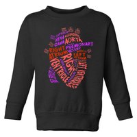 Anatomical Human Heart Cardiology Medical Cardiac Nurse TShirt Toddler Sweatshirt