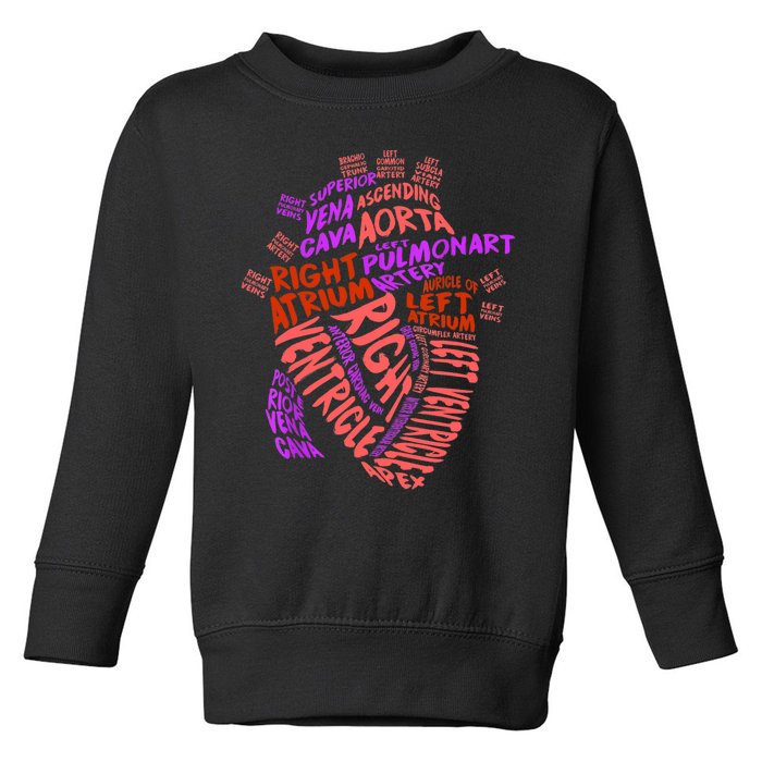 Anatomical Human Heart Cardiology Medical Cardiac Nurse TShirt Toddler Sweatshirt