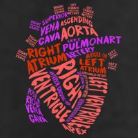Anatomical Human Heart Cardiology Medical Cardiac Nurse TShirt Hat