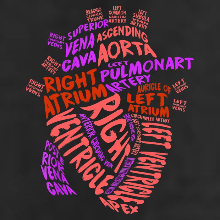 Anatomical Human Heart Cardiology Medical Cardiac Nurse TShirt Hat