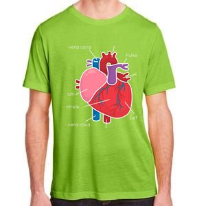 Anatomical Humain Heart Anatomy Science Physiology Medical Great Gift Adult ChromaSoft Performance T-Shirt