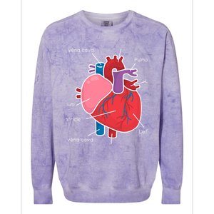 Anatomical Humain Heart Anatomy Science Physiology Medical Great Gift Colorblast Crewneck Sweatshirt