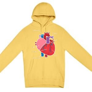 Anatomical Humain Heart Anatomy Science Physiology Medical Great Gift Premium Pullover Hoodie