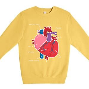 Anatomical Humain Heart Anatomy Science Physiology Medical Great Gift Premium Crewneck Sweatshirt