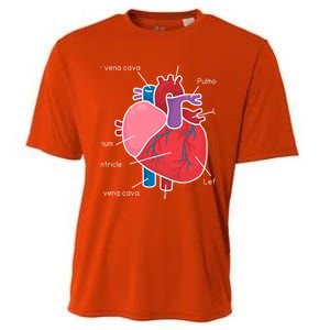 Anatomical Humain Heart Anatomy Science Physiology Medical Great Gift Cooling Performance Crew T-Shirt