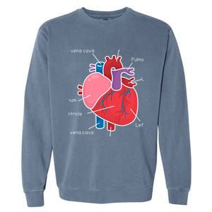 Anatomical Humain Heart Anatomy Science Physiology Medical Great Gift Garment-Dyed Sweatshirt