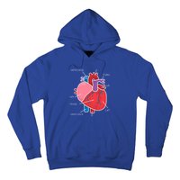 Anatomical Humain Heart Anatomy Science Physiology Medical Great Gift Hoodie