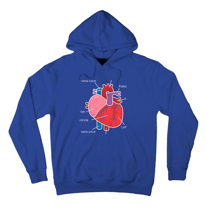 Anatomical Humain Heart Anatomy Science Physiology Medical Great Gift Hoodie