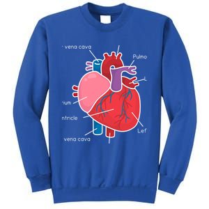 Anatomical Humain Heart Anatomy Science Physiology Medical Great Gift Sweatshirt