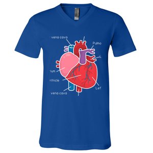 Anatomical Humain Heart Anatomy Science Physiology Medical Great Gift V-Neck T-Shirt