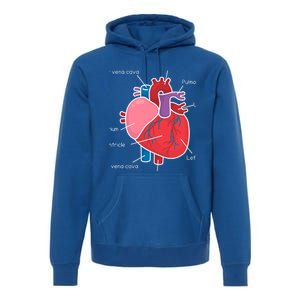 Anatomical Humain Heart Anatomy Science Physiology Medical Great Gift Premium Hoodie