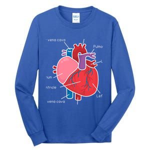 Anatomical Humain Heart Anatomy Science Physiology Medical Great Gift Tall Long Sleeve T-Shirt