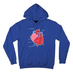 Anatomical Humain Heart Anatomy Science Physiology Medical Great Gift Tall Hoodie