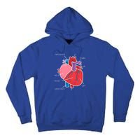 Anatomical Humain Heart Anatomy Science Physiology Medical Great Gift Tall Hoodie