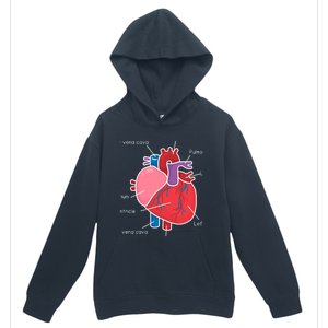 Anatomical Humain Heart Anatomy Science Physiology Medical Great Gift Urban Pullover Hoodie