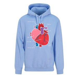 Anatomical Humain Heart Anatomy Science Physiology Medical Great Gift Unisex Surf Hoodie