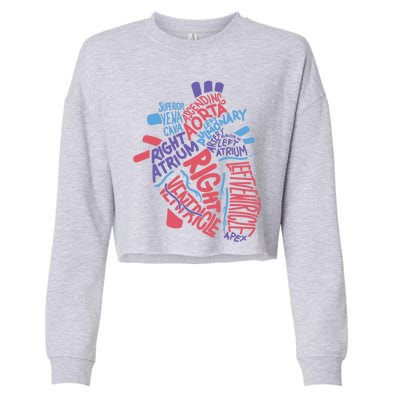 Anatomical Hu Heart Cardiology Medical Cardiac Nurse Cool Gift Cropped Pullover Crew