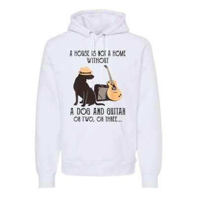 A House Is Not A Home Without A Dog And Guitar Or Two Premium Hoodie