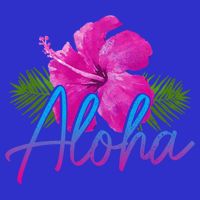 Aloha Hawaiian Islands Hawaii Surf Hibiscus Flower Surfer Cool Gift Womens T-Shirt