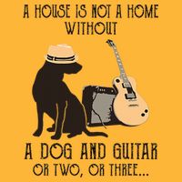 A House Is Not A Home Without A Dog And Guitar Or Two Pom Pom 12in Knit Beanie