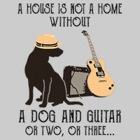 A House Is Not A Home Without A Dog And Guitar Or Two Tie-Dye T-Shirt