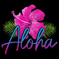 Aloha Hawaiian Islands Hawaii Surf Hibiscus Flower Surfer 16 in Basic Backpack