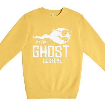 Adult Humor My First Ghost Costume Funny Halloween Gift Premium Crewneck Sweatshirt