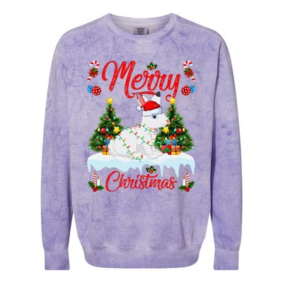 Arctic Hare Merry Christmas Tree Lights Arctic Hare Xmas Colorblast Crewneck Sweatshirt