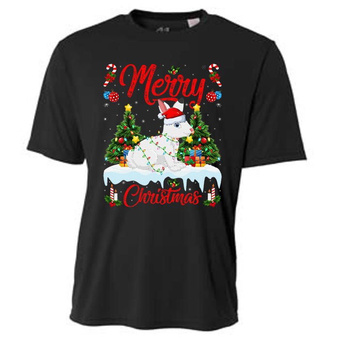 Arctic Hare Merry Christmas Tree Lights Arctic Hare Xmas Cooling Performance Crew T-Shirt