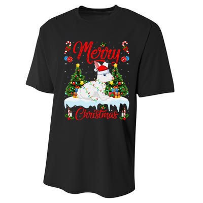 Arctic Hare Merry Christmas Tree Lights Arctic Hare Xmas Performance Sprint T-Shirt