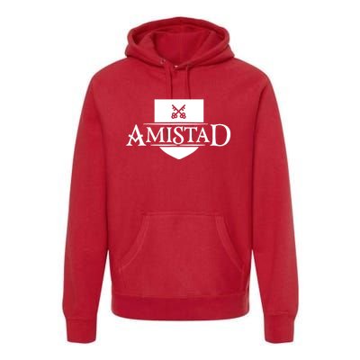 Amistad House Of Friendship House Retro Friendship Premium Hoodie